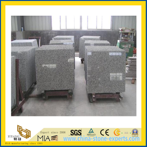 Chinese Bala White Granite Tiles for Wall/Flooring