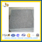 Polished Black Basalt G684 for Wall or Paver(YQG-PV1040)