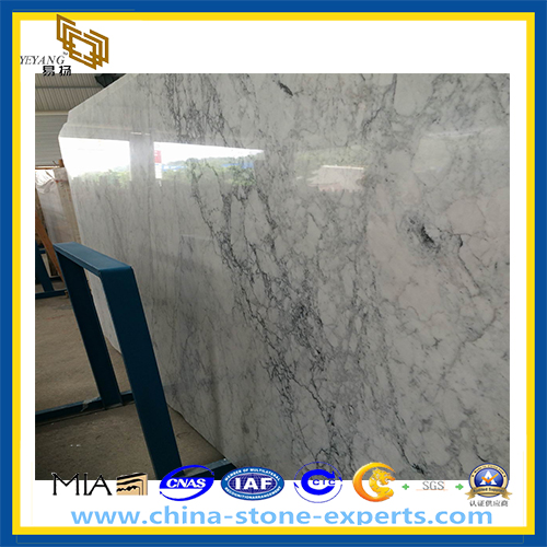 Carrara White Marble for Slab / Floor Tile (YQZ-MS1021)