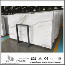Durable New Arrival Arabescato Venato White Marble for Bathroom Tiles (YQW-MSA052601)