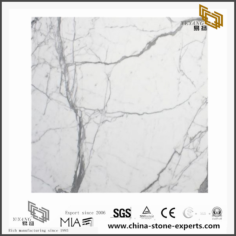 Statuario Marble for Wall Backgrounds & Floor Tiles（YQN-092205）