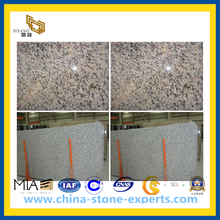 Tiger Skin White Slab for Countertop (YQZ-GS)