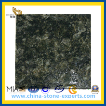 Wholesale China Green Stone- Verde Butterfly Green Granite Slab (YQZ-GS)