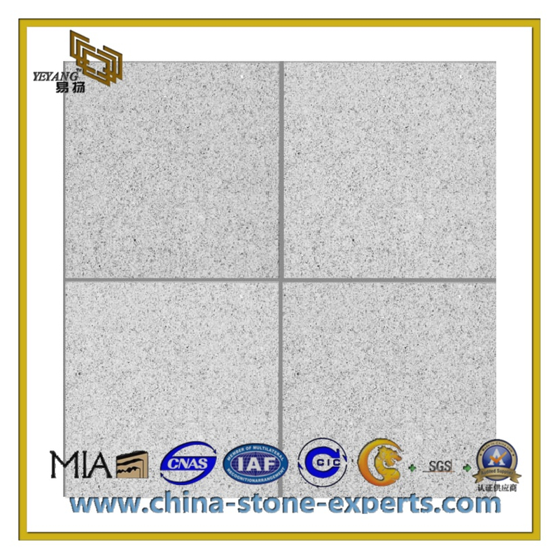 Polished Natural Padang Dark Grey G654 Granite Stone Flooring Tiles(YQC-GT1019)