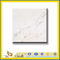 Polished Ariston White Marble Slabs for Wall&amp;Flooring (YQC)