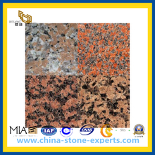 Cheap Maple Red Granite Slab for Decoration Countertop (YQZ-GS)
