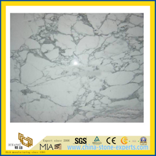 Polished Arabescato White Marble Slabs for Countertop/Vanity Top