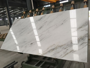 Top New arrival Arabescato Venato White marble