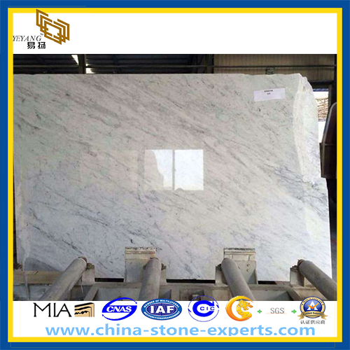 Carrara White Marble for Slab / Floor Tile (YQZ-MS1021)