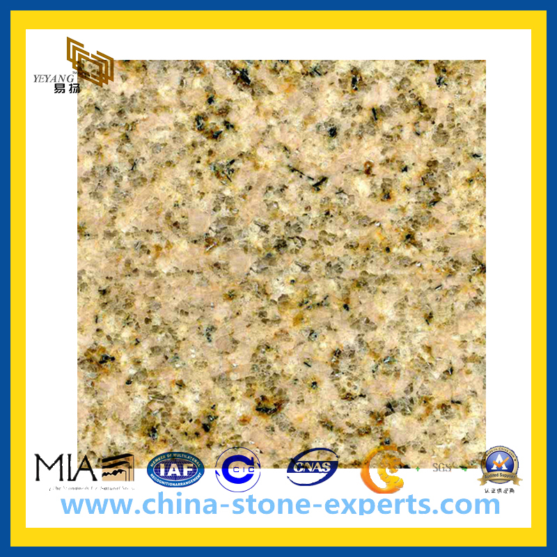 G682 China Yellow Granite Slab for Floor Tile (YQC-GS1004)