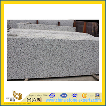Bala White Granite Tile for Floor(YQG-GT1036)