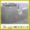 Cheap Juparana Light Natural Stone Granite for Countertops (YYT)