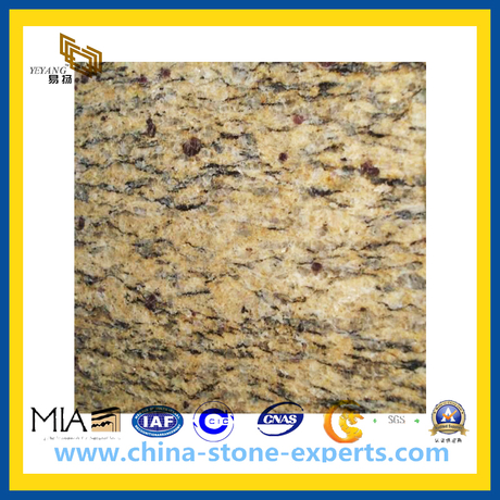 Giallo Santa Cecilia Granite Slab For Countertop Yqz Gs Buy
