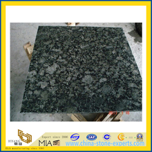 Green Granite / Butterfly Green Granite Flooring Wall Tiles(YQG-GT1111)