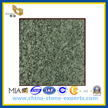 Forest Green Granite Tiles for Floor and Wall(YQG-GT1018)