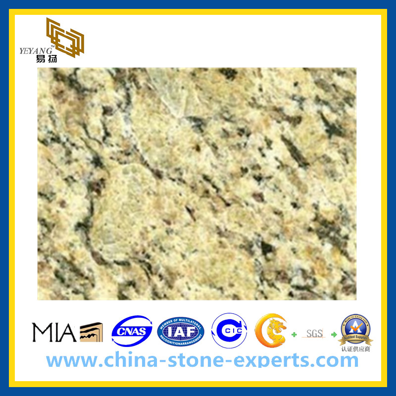 Polished Autumn Gold Granite Tiles for Paving, Wall, Flooring(YQG-GT1029)