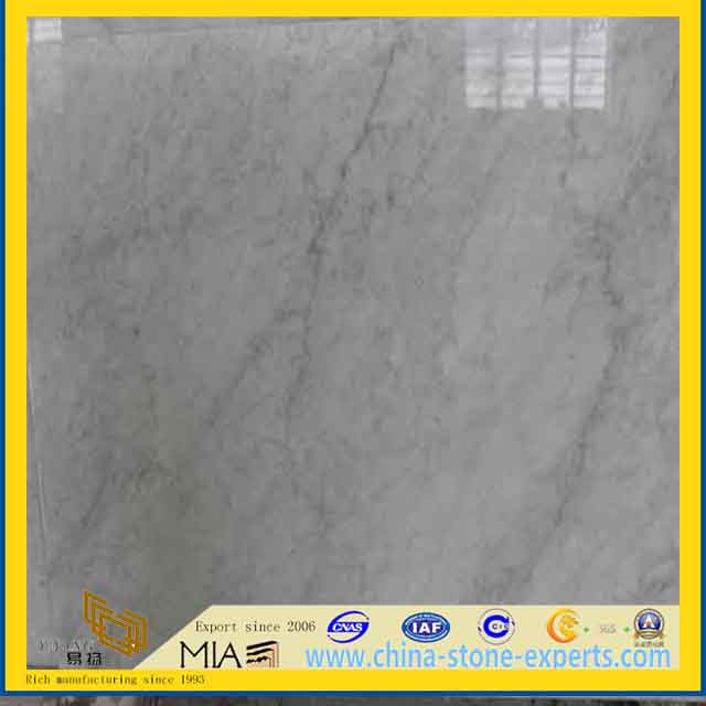 Italian Carrara White Marble Tiles (YQY)
