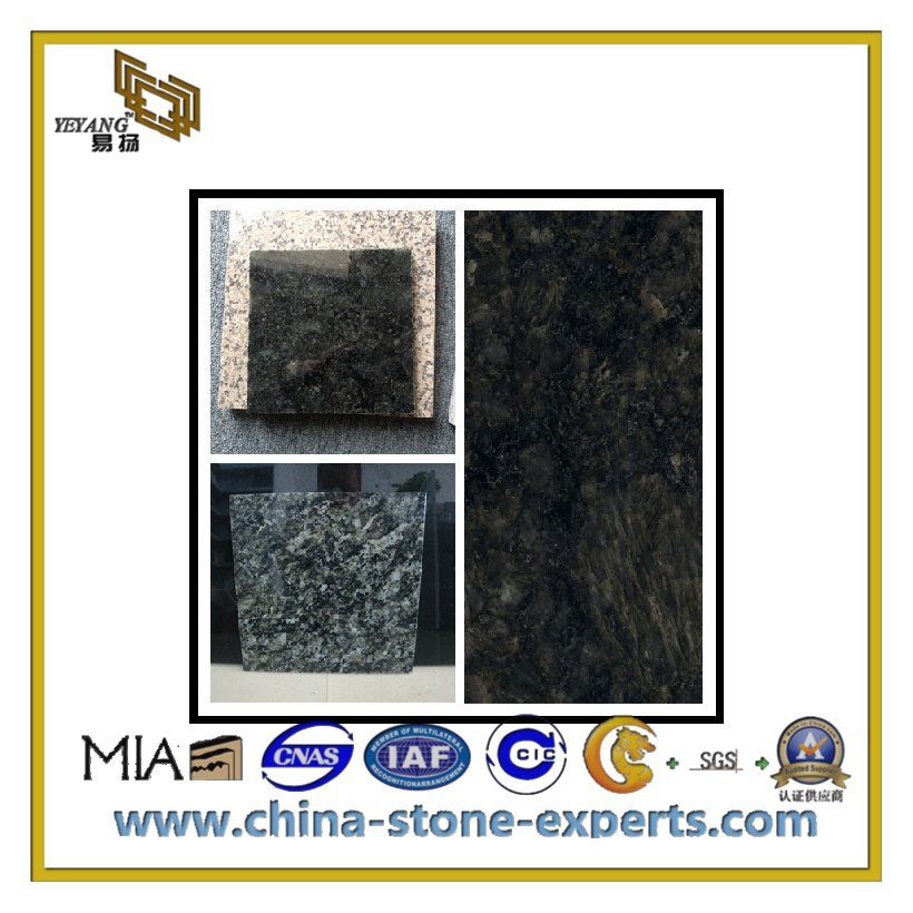 Wholesales Polished Butterfly Green Granite Tile (YQC-GT1002)