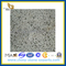 Grey Big Hole Lava Stone for Paver(YQG-PV1026)