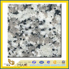Polished Cinderella Granite Slabs for Wall Tile / Countertops (YQZ-G1007)
