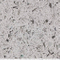 Crystal Light Grey (YQ1806)