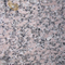China Rosa Porrino-Granite Colors |China Rosa Porrino Granite for Kitchen& Bathroom Countertops
