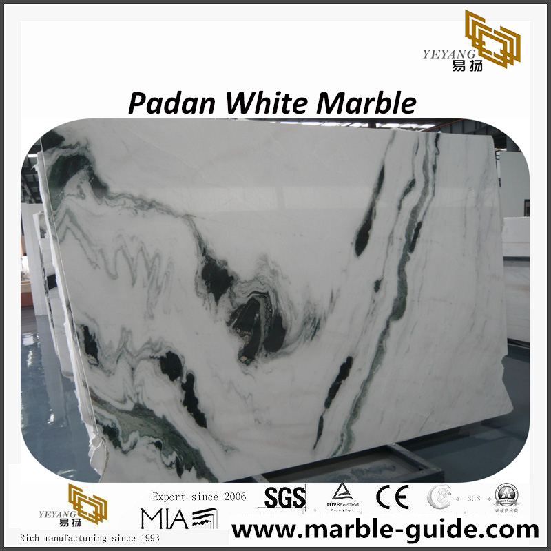 Amazing Padan White marble slabs for interior design