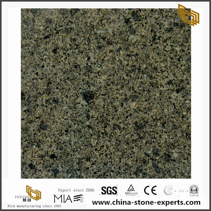 China Cheap Cactus granite slabs for countertops