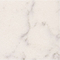 Middle White (YQ6305)