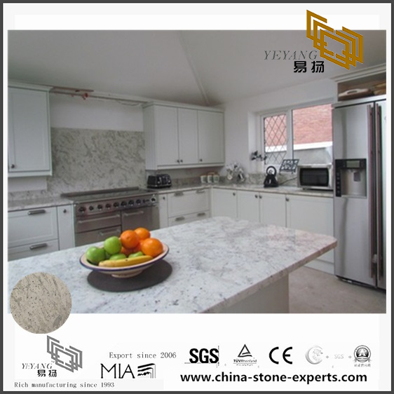 Quality Andromeda White Granite Countertops for Kitchen Design (YQW-GC071406)