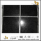 China Cheap G684 Black Pearl Granite Flooring/Tiles/Slabs