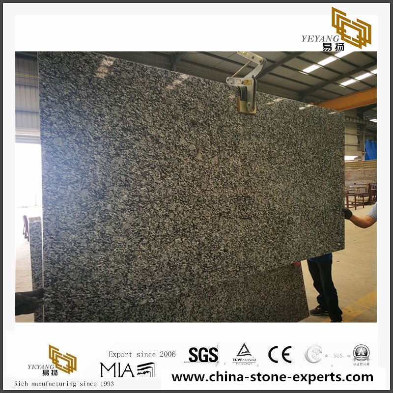 China White Wave Granite Cut To Size Slab For Countertops China White Wave Granite Cut To