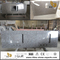 China Butterfly Blue Granite kitchen countertops with cheap price