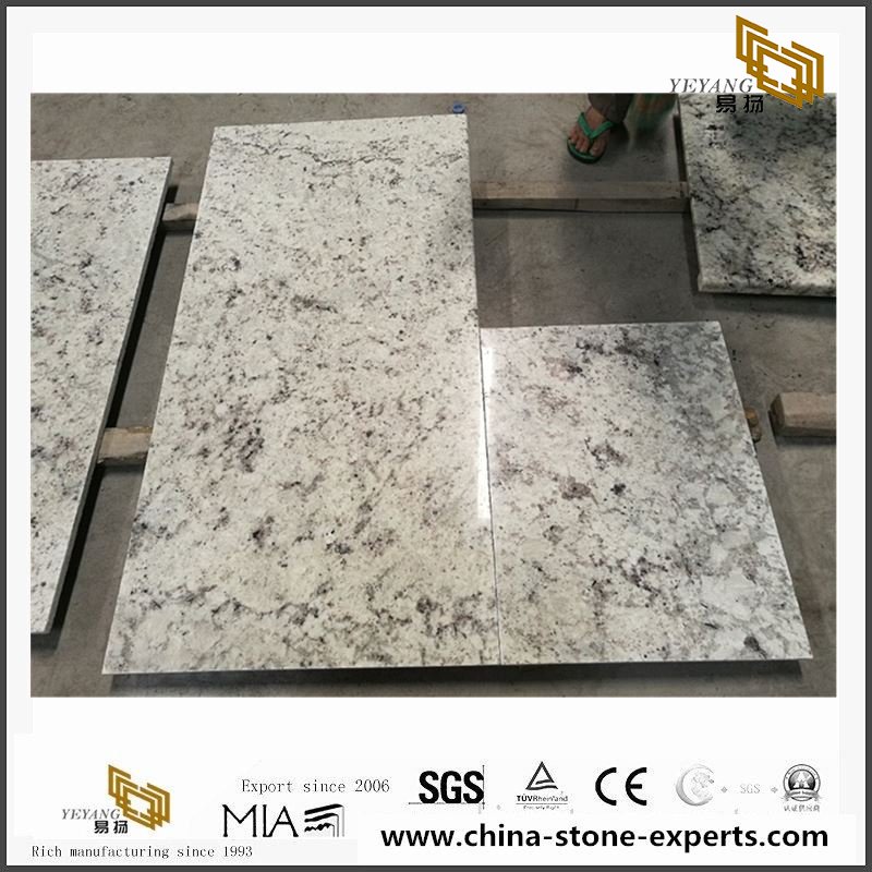 Hot Sale Colonial White Granite Slabs & Tiles for Countertop