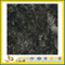 Polished Butterfly Green Granite for Countertops / Vanity Top (YQZ-G1002)