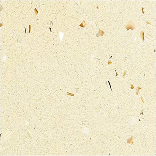 Shell White (YQ5885)