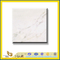 Ariston White Marble Slabs for Wall and Flooring(YQC)
