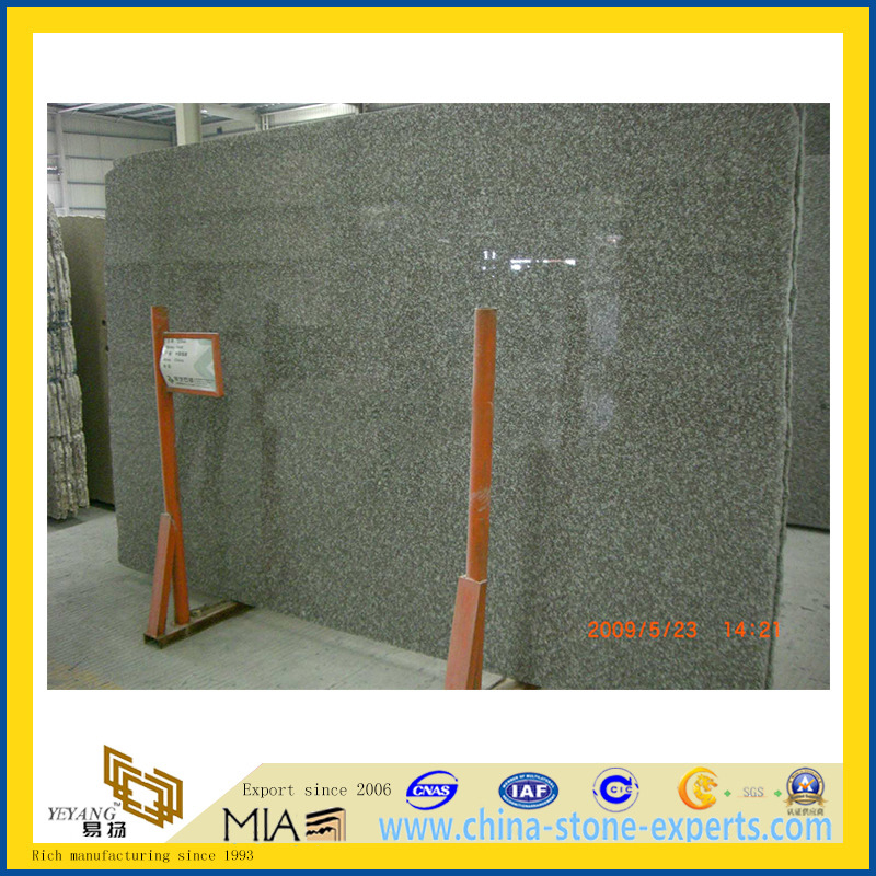 Polished Stone G664 Violet Granite Slab for Countertop/Vanitytop (YQC)