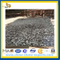 Black fossil mable slab for floor, countertop (YQA-MS1008)