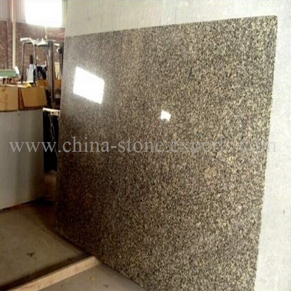 Slab Leopard Skin Granite for countertop,wall (YQA-GS1020)