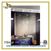 Mix Color Natural Stone Marble Mosaic Tiles for Background(YQC)