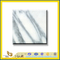 Arabescato Marble Slabs for Wall and Flooring(YQC)
