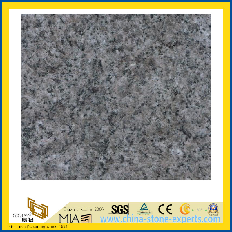 Polished Classic Grey Granite Countertop for Bathroom/Kitchen