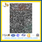 Shell Flower Black Marble Tiles for Floor and Wall(YQG-MT1020)