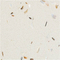 Crystal Shell (YQ5883)