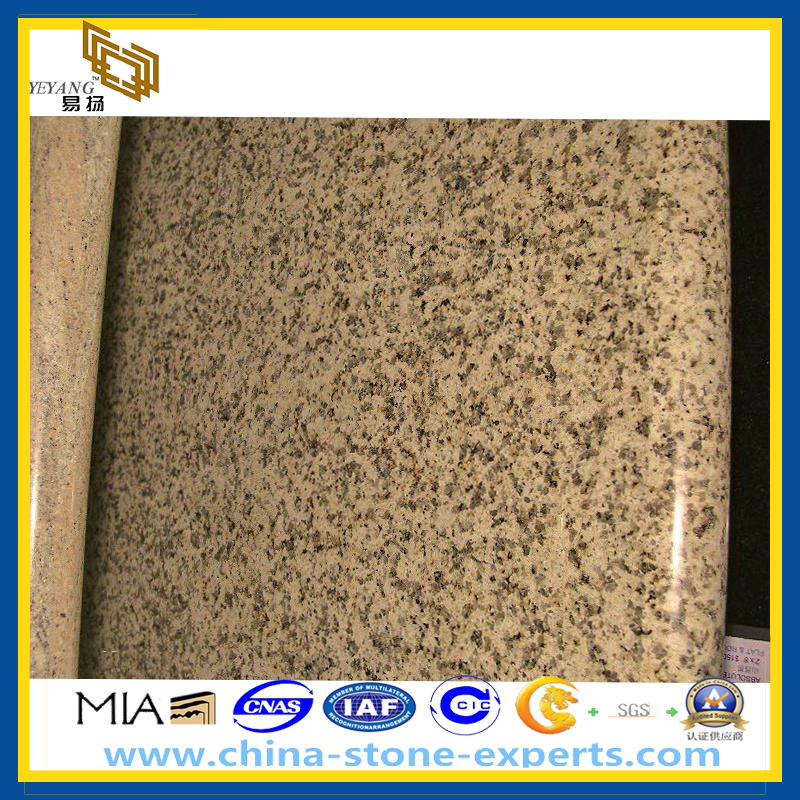 Chrysanthemum Yellow Granite Countertop (YQZ-GC)