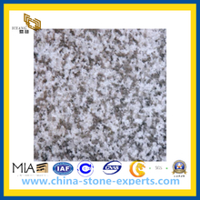 G655 Downtown Grey Granite Stone for Floor & Wall (YQG-GT1004)