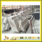 Castro White Marble Building Decorative Material for Construction Floor / Wall