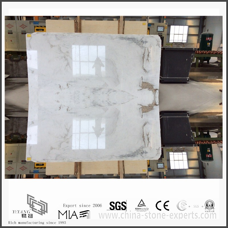 Durable New Arrival Arabescato Venato White Marble for Bathroom Wall Tile (YQW-MSA051303)