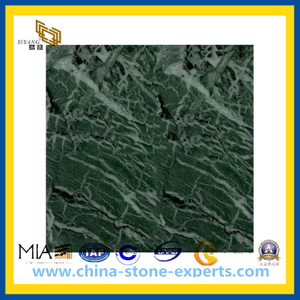 Polished India Medium Green Marble for Flooring and Wall(YQC)